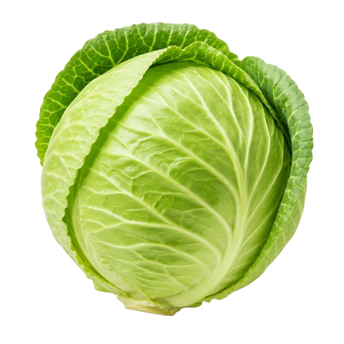 Lakër