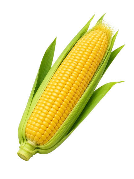Misër