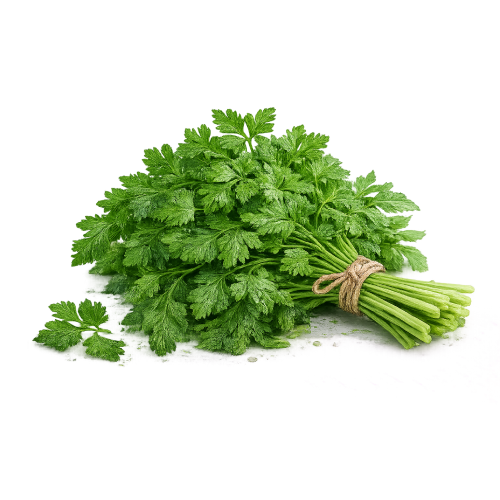 Majdanoz