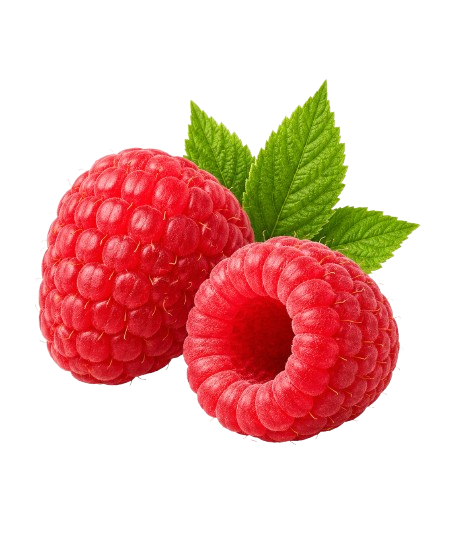 Manaferrë