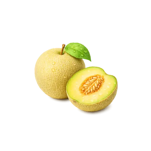 Pjepër