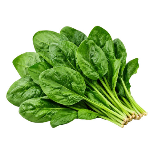 Spinaq